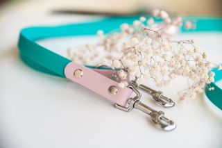 Jemná, ale přesto neokoukaná kombinace aqua + levandulová 🥰 ⁣Světlejších barev se u našich vodítek a obojků nemusíte bát -...