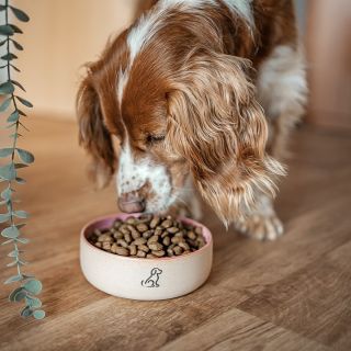 🍴 Nová kolekce keramických misek pro psy je tady! 🐾 Stylové, zdravotně nezávadné a ručně vyráběné s láskou. 💙💗 ✅ Drží...