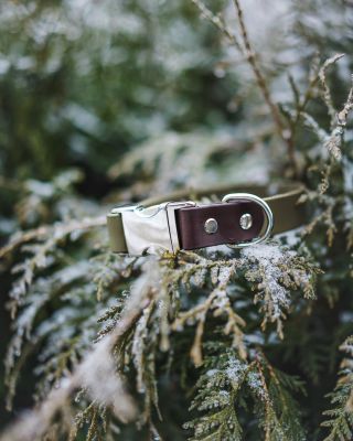 Vánoční objednávky jsou uzavřené a já tento týden dodělávám poslední letošní obojky a vodítka na míru 🎄 Děkuju za každou...